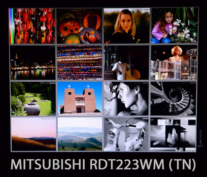 RDT223WM_angle1_mini.jpg